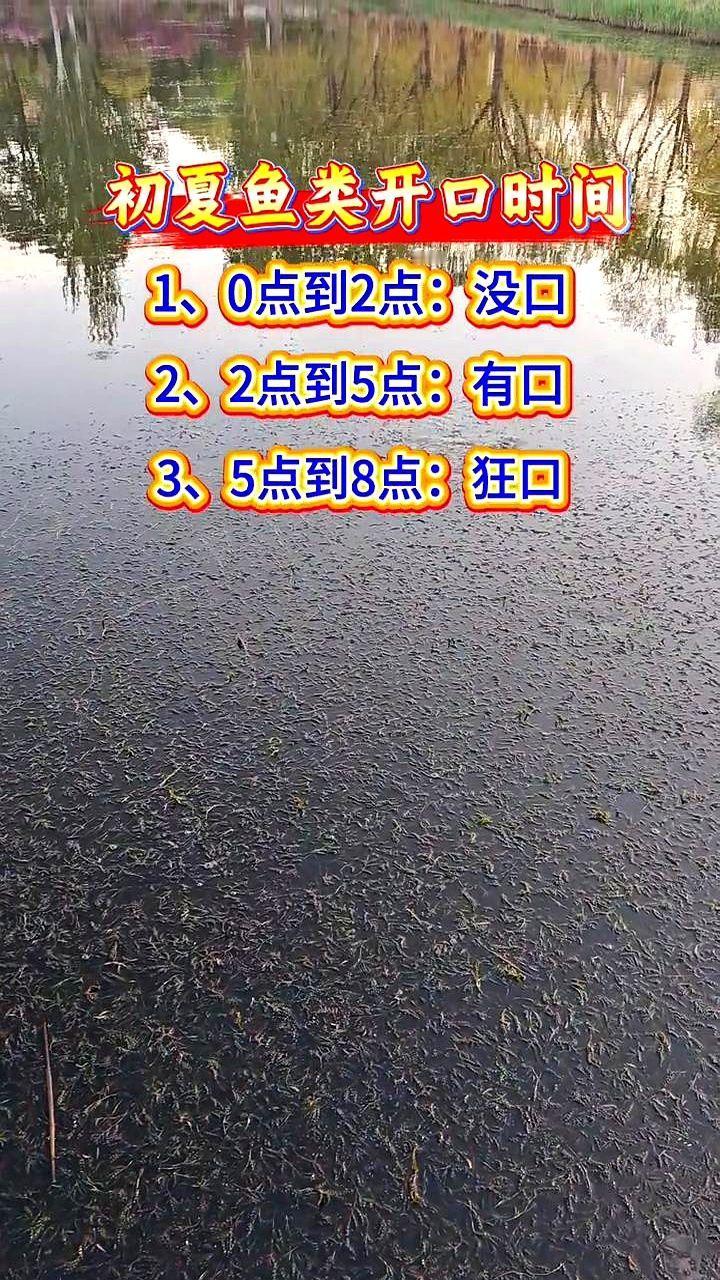 钓鱼真不是靠运气，不懂鱼的“作息表”，坐一天都是白搭。老钓友总结的初夏鱼口时