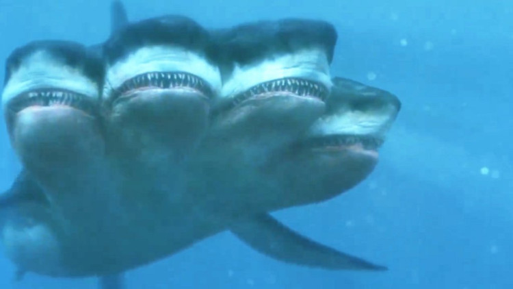 4分钟看《夺命五头鲨》,有能耐你再拍个十头鲨,看你把头放在哪