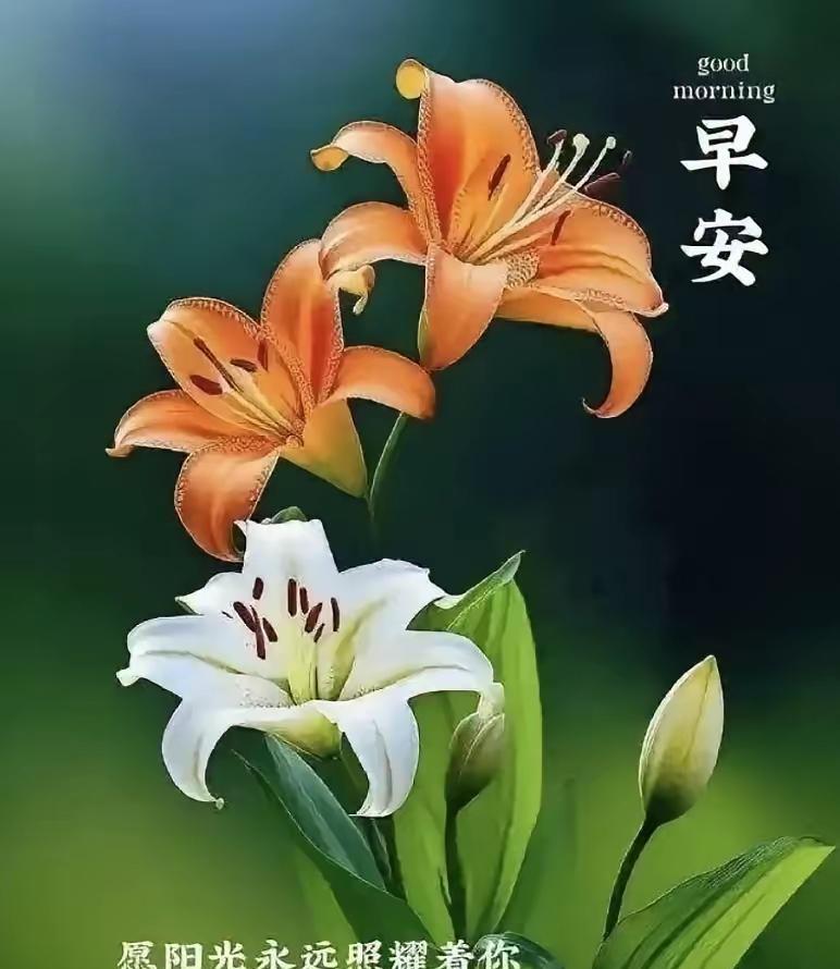 早上好，今天是9月22日星期一。一直没有天津女排赴土耳其拉练第二场比赛的消息，