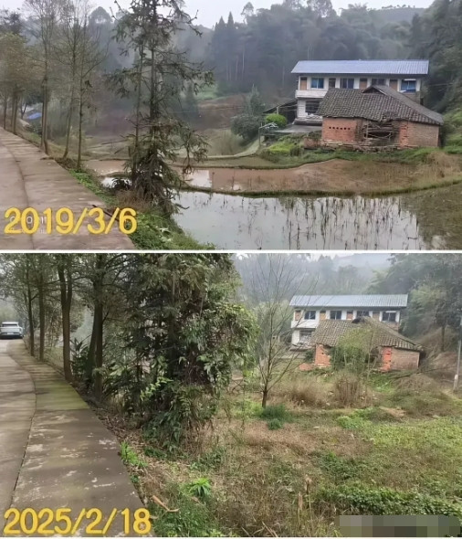 事实证明，没人管理，肥田也会变荒田啊。[笑着哭][笑着哭][笑着哭]