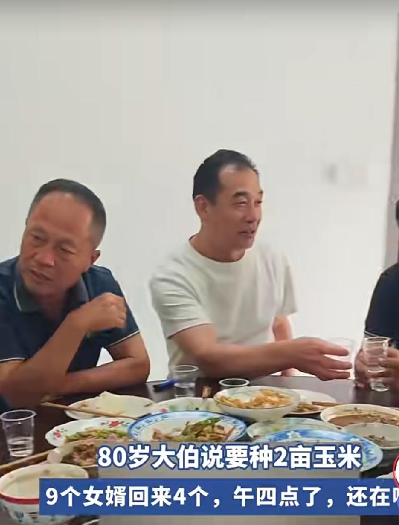 80岁大伯说要种2亩玉米，9个女婿回来4个帮忙，结果活没干什么，中午吃饭，一直喝