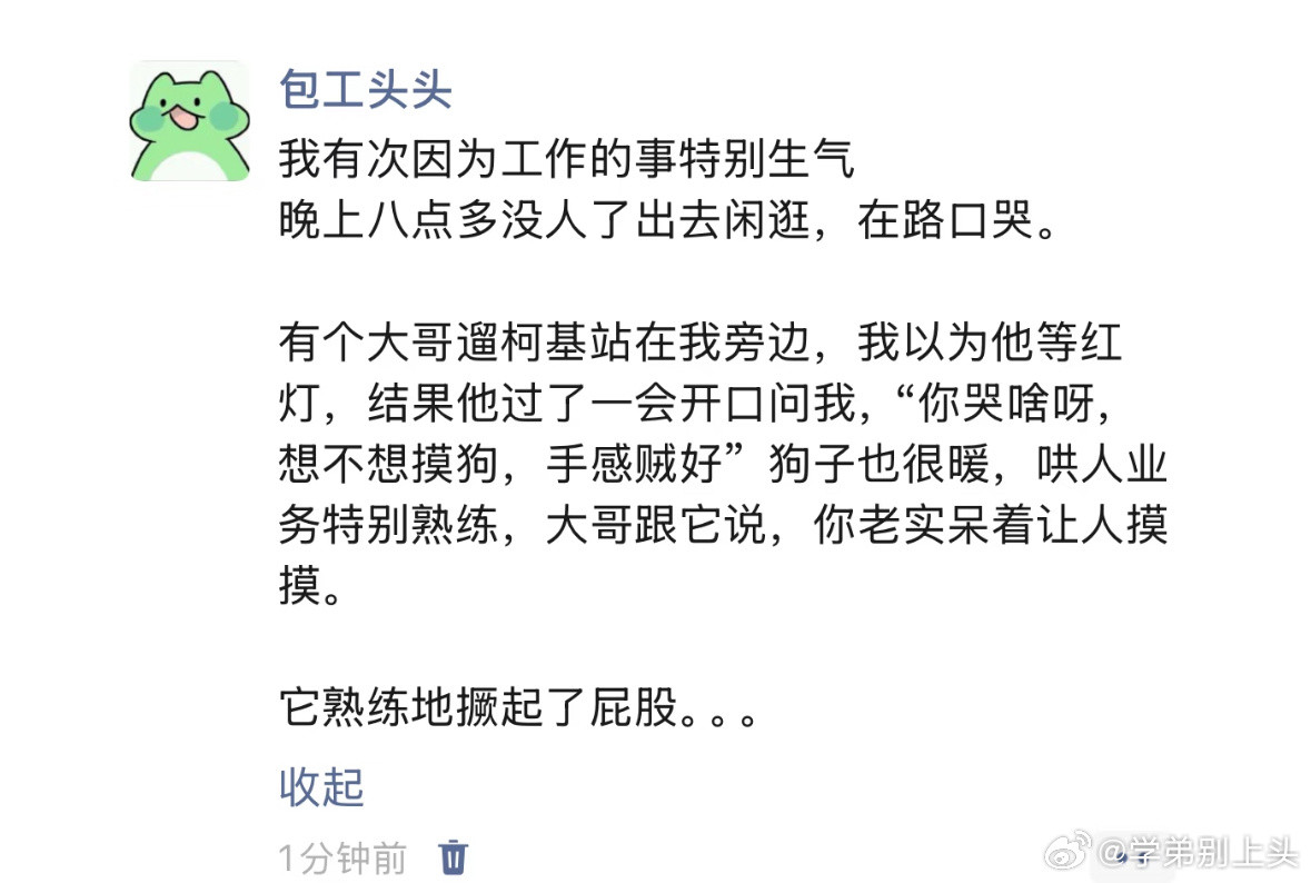 伤心的时候可以去摸柯基屁股