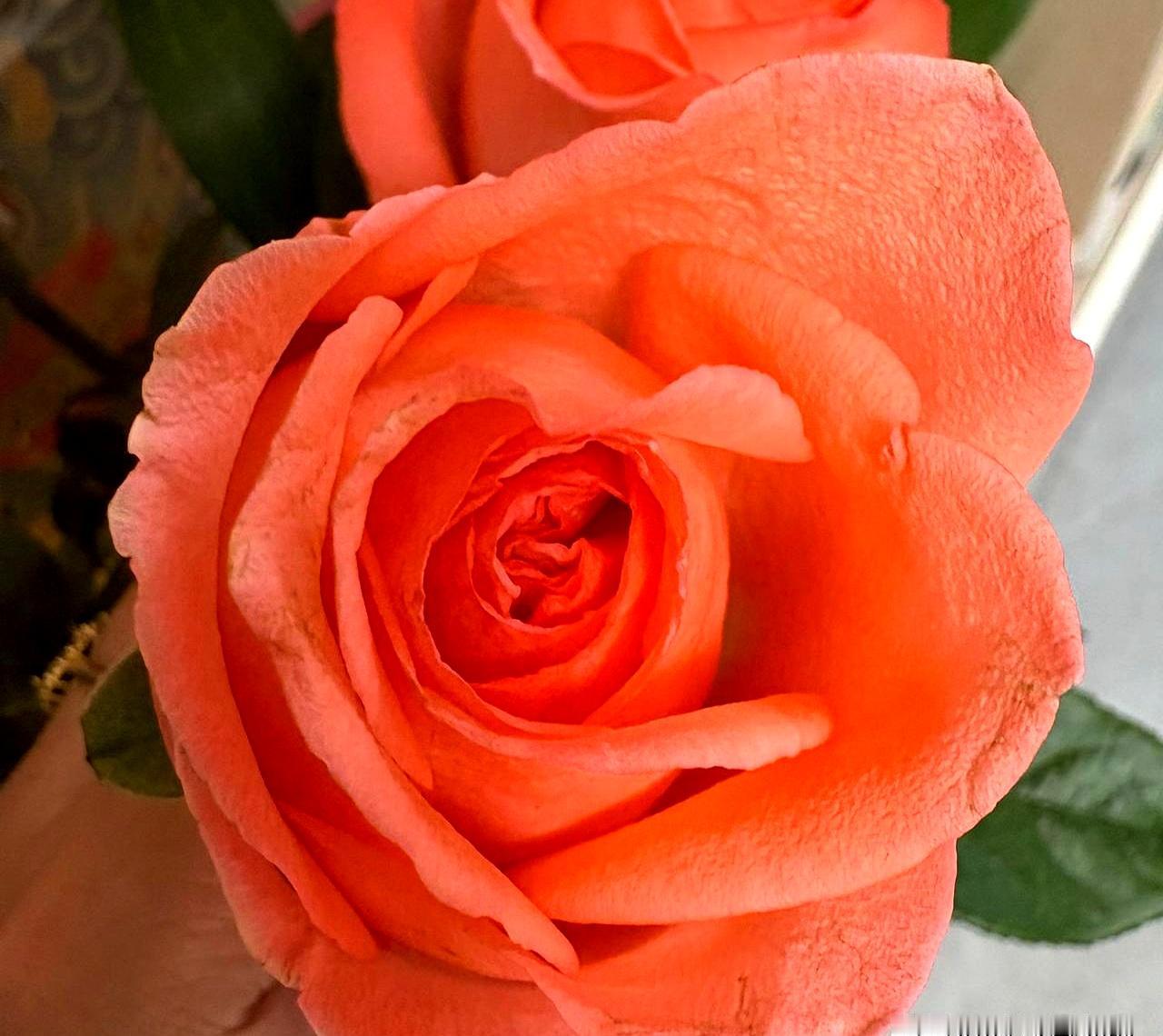 你有没有发现，身边不少得肿瘤的朋友，生病前好像都经历过一记“闷棍”？要么家里出