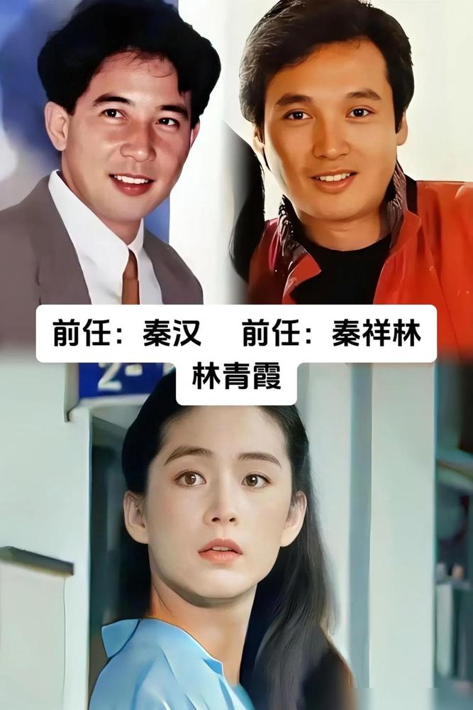 林青霞的前任们。张艾嘉的前任们。米雪的前任们。赵雅芝的前任们。方舒的前任们。刘雪