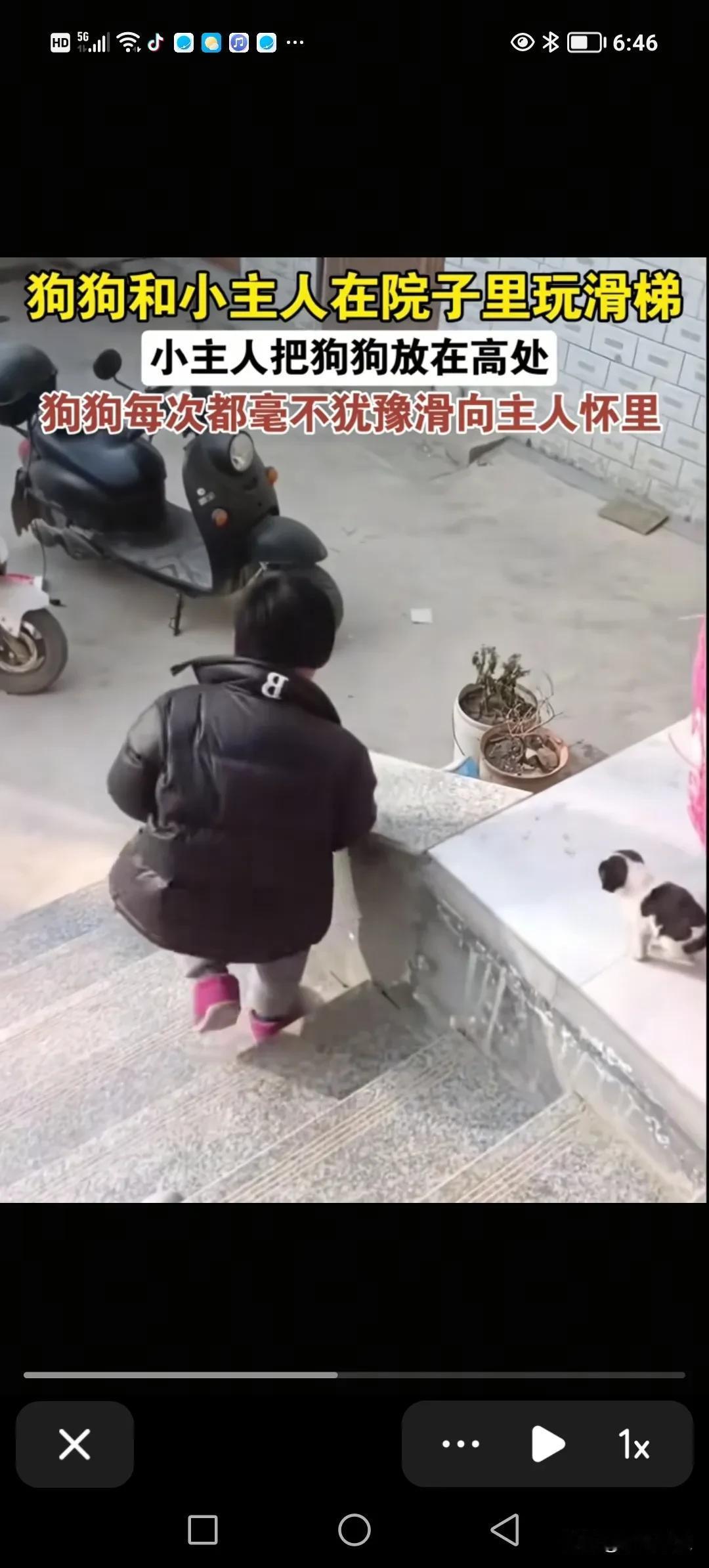 小狗狗信赖小主人，它们正在玩滑冰呢。每次滑到小主人的怀里时，小狗清楚小主人不会伤