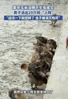 “人怎么能这么聪明！”9月10日贵州一男子因没把玉米晒干导致生虫，不仅数量庞大，