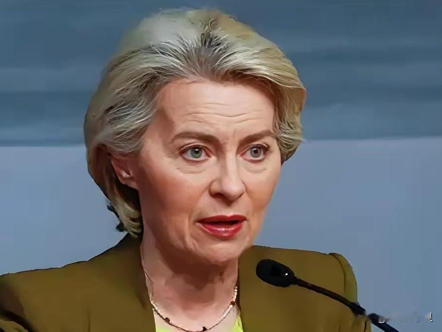 欧盟主席冯德莱恩咋呼了半天法国总统马克龙咋呼了半天英国首相斯塔默咋呼了半天