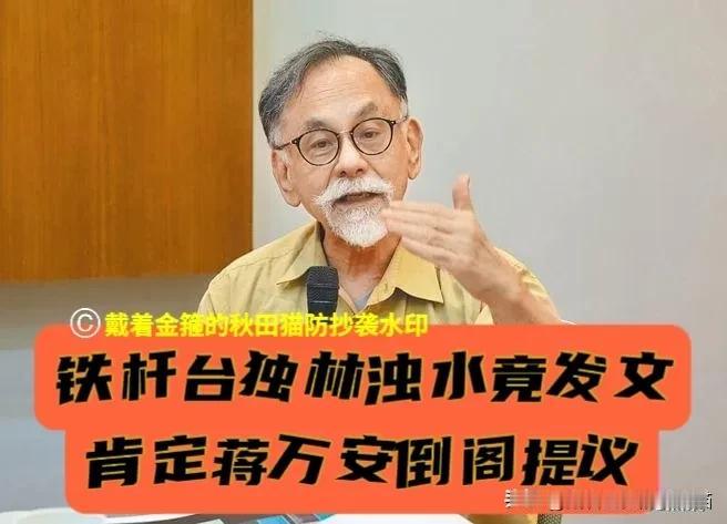 蒋万安提倒阁，竟然得到“铁杆台独分子”兴奋肯定！林浊水直呼这是“天大地大的事”，