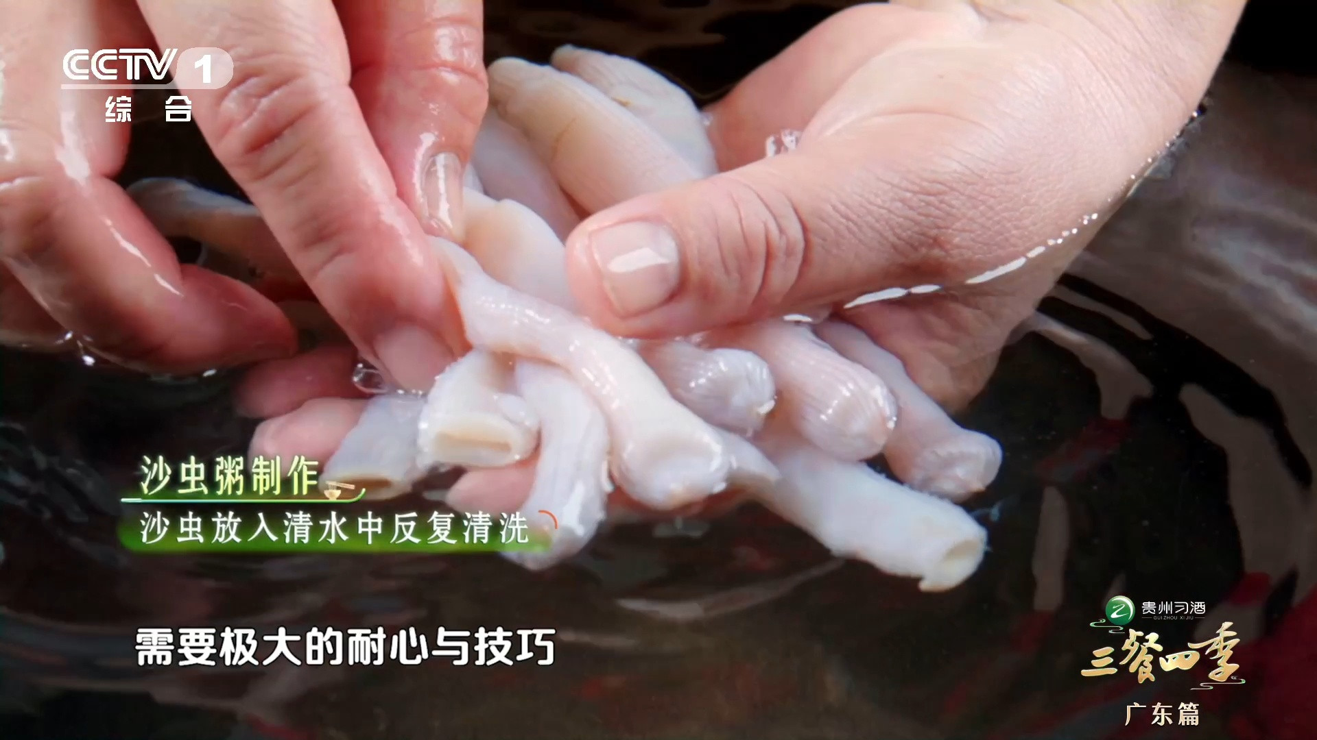 鲜掉眉毛的沙虫粥，是广东美食智慧的结晶。第一次见如此鲜活沙虫，经烹饪化为舌尖上的