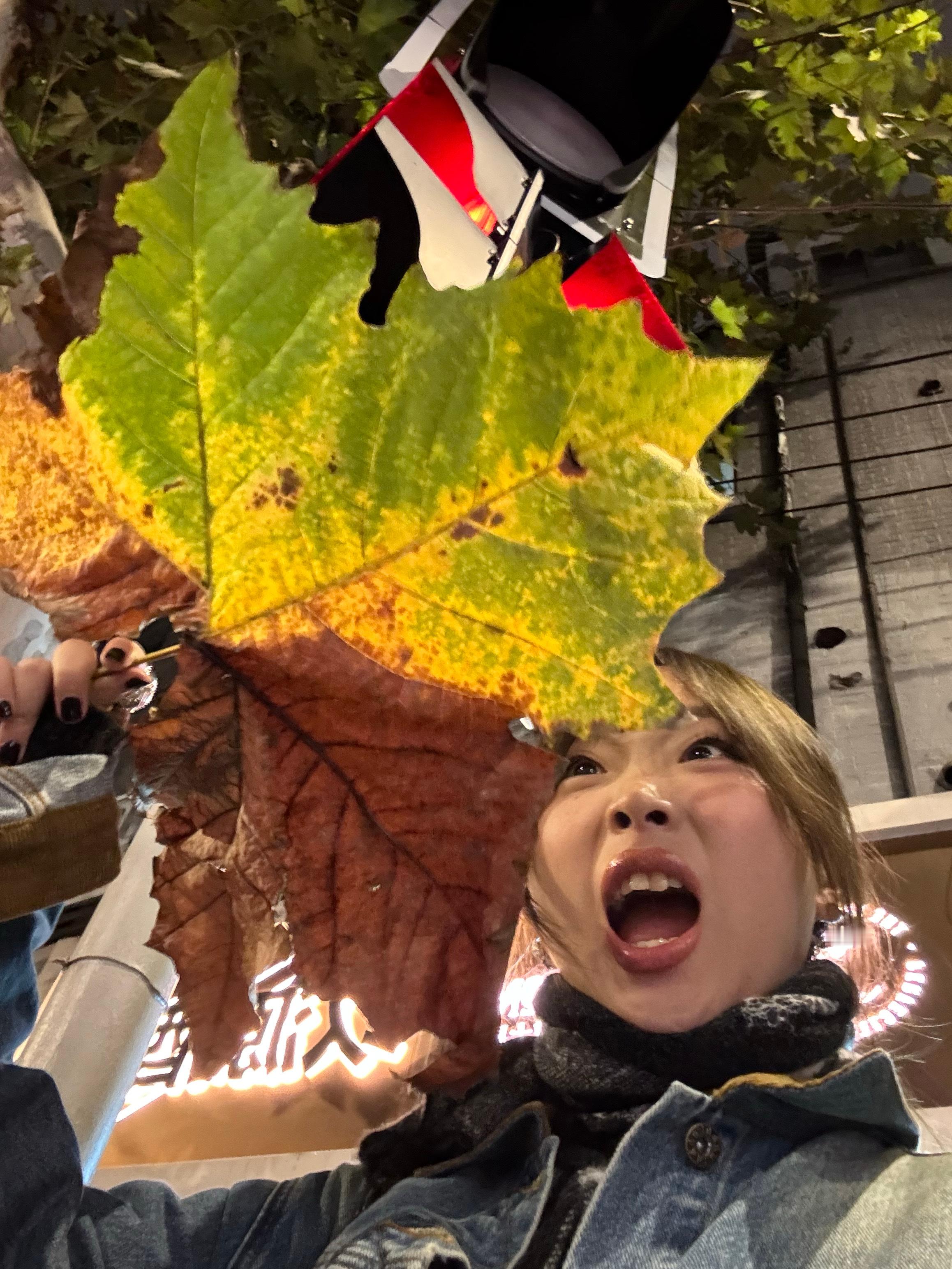 看我捡到了好大的秋叶​​​