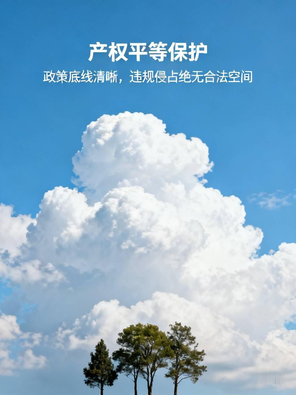 产权平等保护：政策底线清晰，违规侵占绝无合法空间党中央、国务院多次明确产权