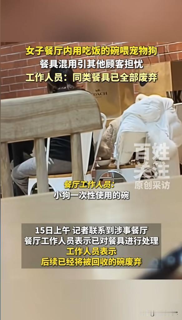 “顾客天塌了！”12月14日，北京，一女子吃饭时，发现邻桌的客人正用盘子给狗喂食