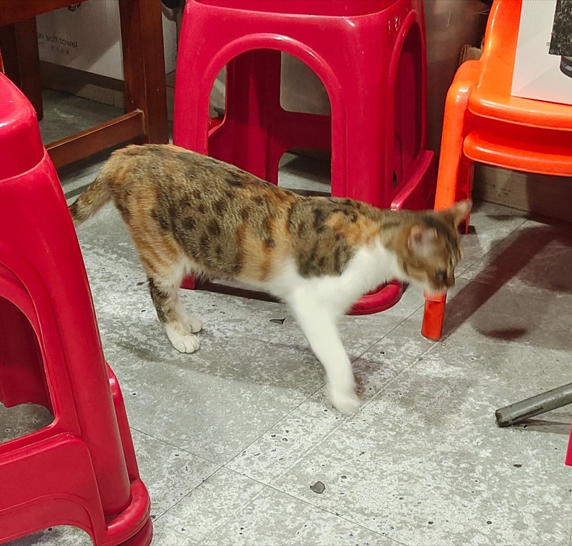 丑得要命。​​​