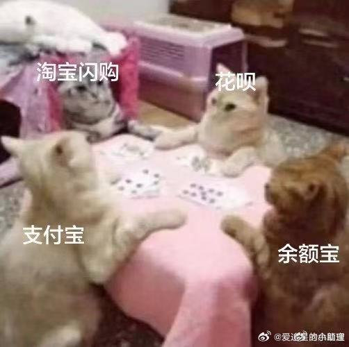 今天才明白攒钱与花钱该如何选择江苏果然名不虚传，赞助都要分城battle！网友