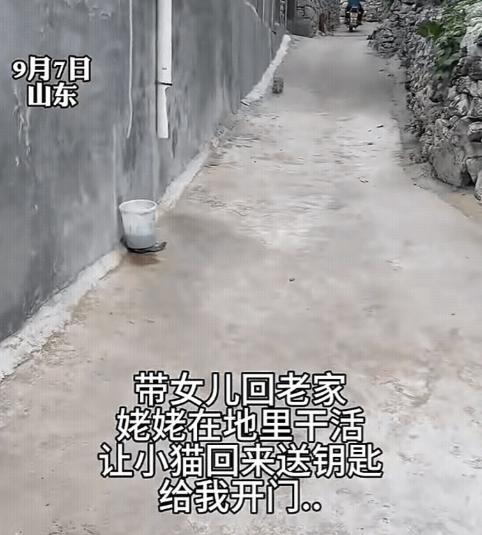 “成精了！”山东一位女子带着娃回老家看望姥姥，结果到家时姥姥不在家，女子打去电话