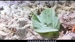 【广正网】华文广告作品集锦:三十七