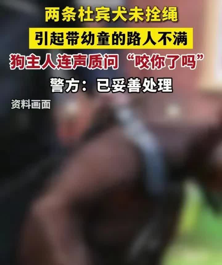 镇江丹阳杜宾犬这个事情，警方当时回应，已经妥善的处理了，表示养狗的女子被罚款。