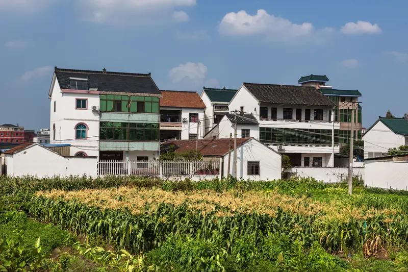 加强农村宅基地规范管理，稳健发展新型农村集体经济，完善农业支持保护制度，加强乡村