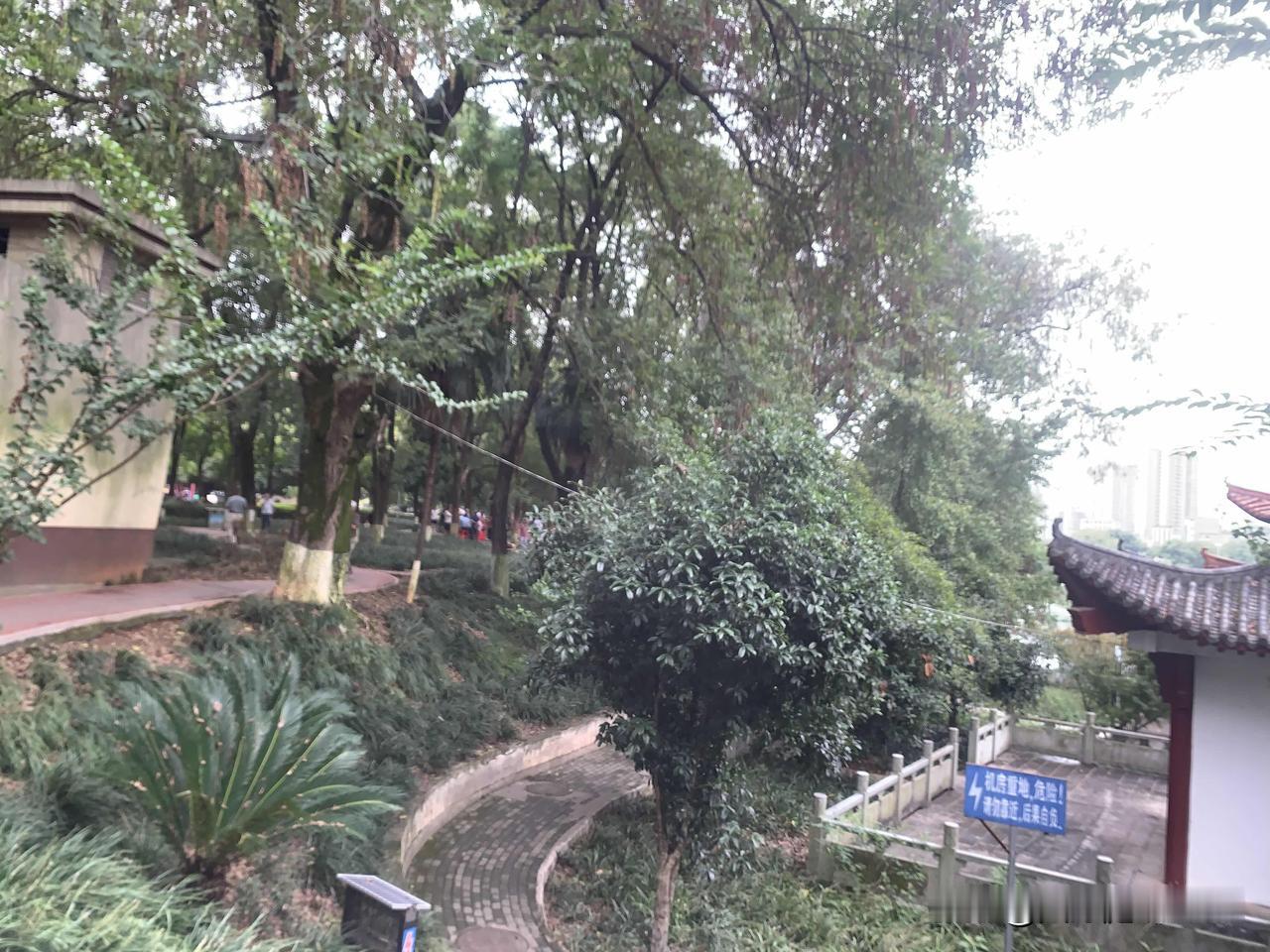 思维定势又如何影响了我们的选择？很多时候困住我们的，并不是眼前的困境，而是脑