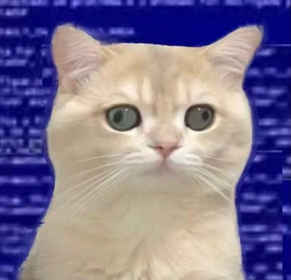 表情包丨跟我的喵喵拳说去吧