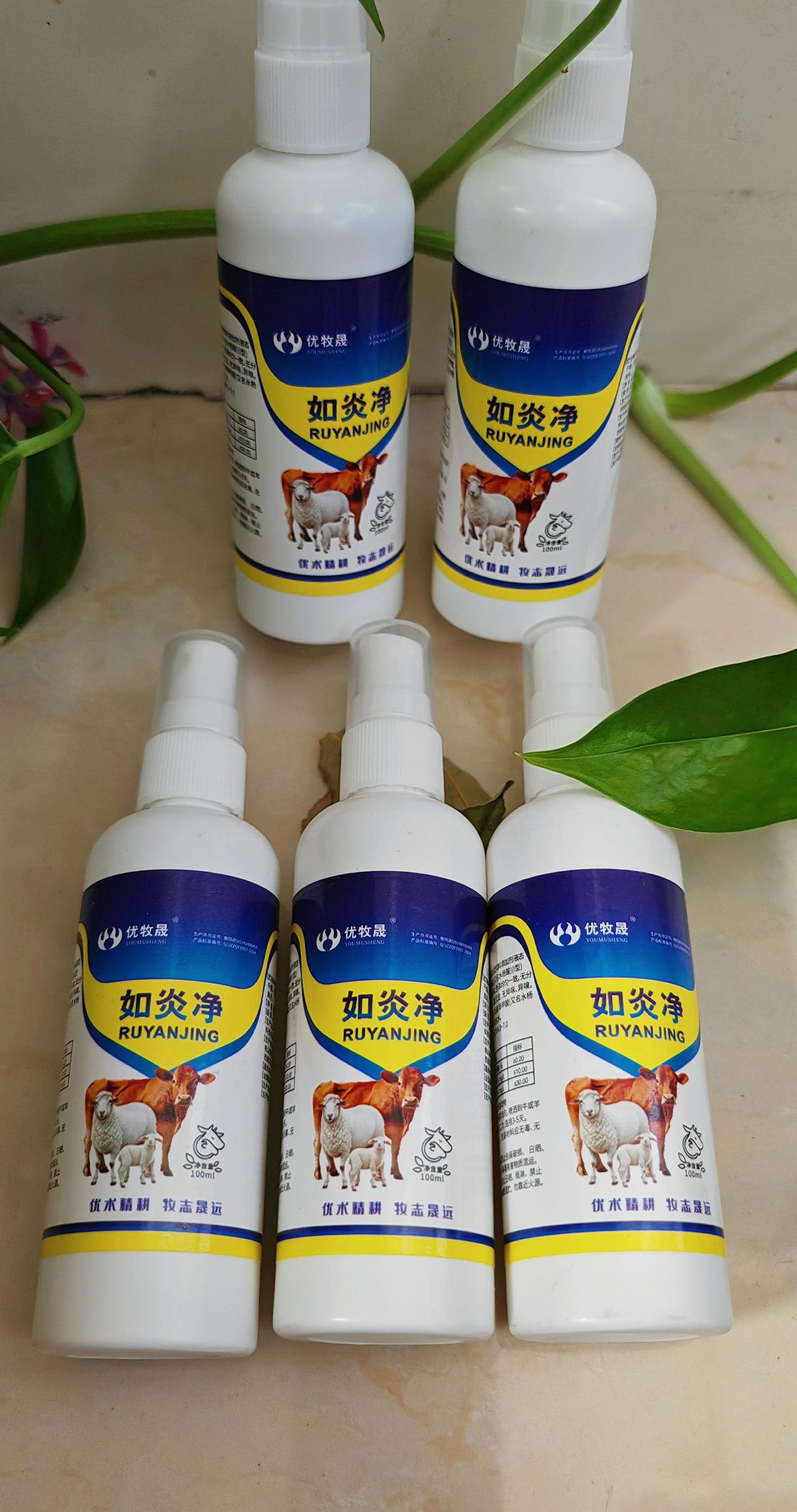 养羊人牛羊养殖农村养羊