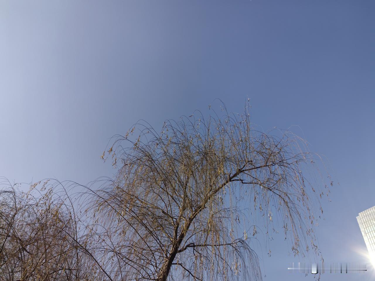 我们这里有个女人，今年也56岁了，她结婚离婚又结婚离婚，也是个有故事的人。她