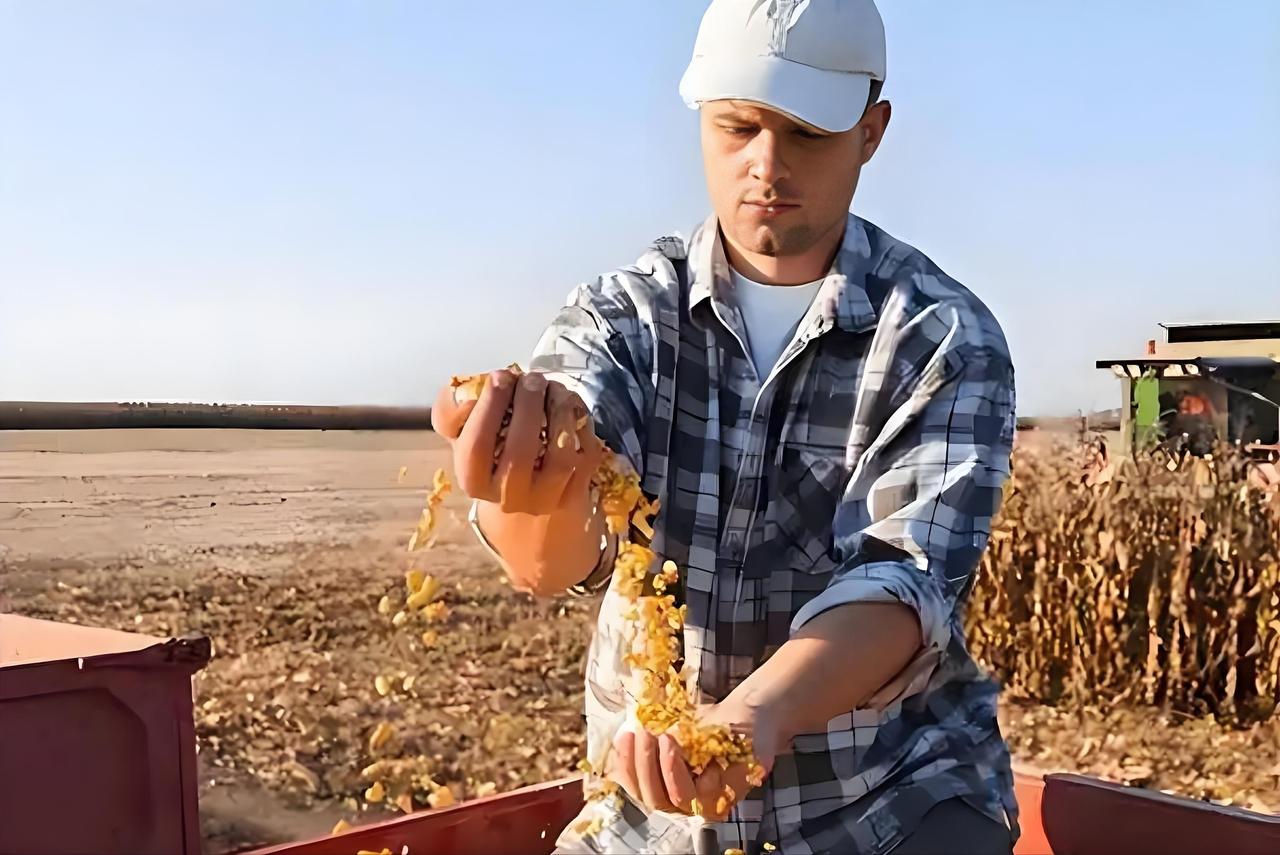 巴西豆商现在恐怕是气得直跺脚。中方已经同意接下来三年将每年至少购买美国大豆7
