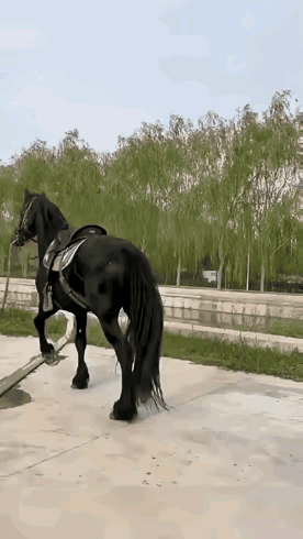 马是极有灵性的生灵，对危险的预判不仅来自于眼睛和耳朵，连马的毛发和钉了铁掌的马蹄