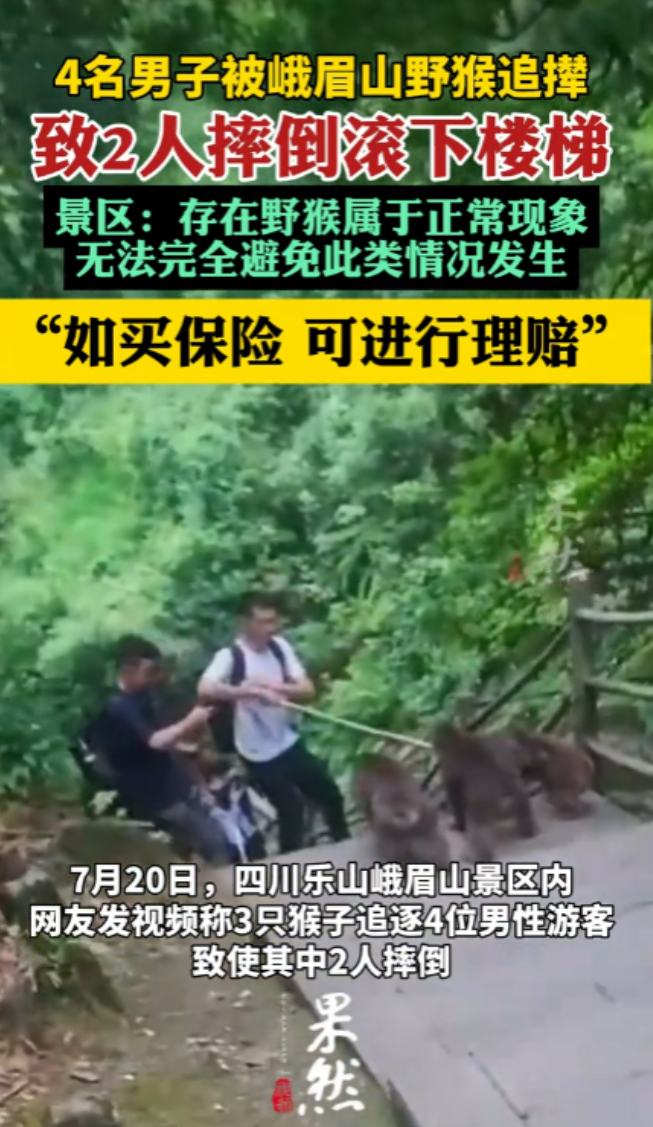 “这下后悔了吧！”7月20日，四川峨眉山，4名男子在山上游玩时，突然被3只野猴发