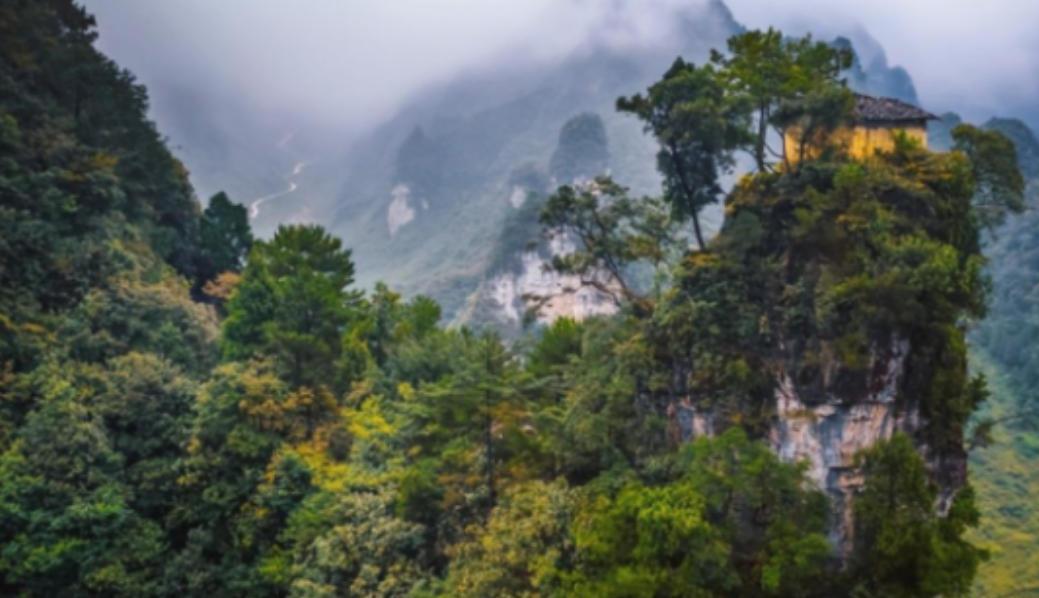 为什么禁止进入神农架深处？一位60多岁的巡山员告诉我：别看神农架拥有大量高等植物