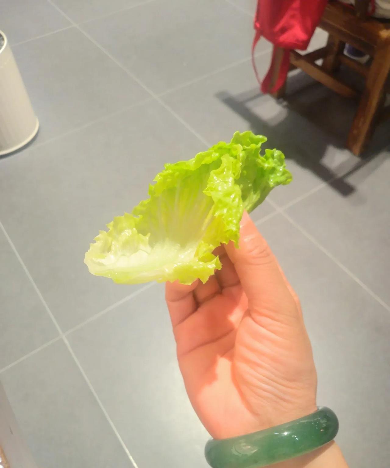 一片生菜叶的减肥餐日记今天，减肥计划里的“大餐”，是手上这片鲜嫩的生菜叶。清