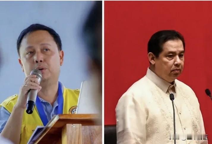 菲律宾公共工程与公路部计划建议对前众议院议长马丁·罗穆亚尔德斯和前国会议员扎尔迪