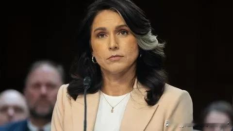 美国已停止分享有关俄罗斯和乌克兰之间谈判的情报美国国家情报总监加巴德发布指