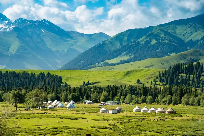 新疆2026年选调生报名启动啦！这可是个超棒的机会。新疆维吾尔自治区计划选调12