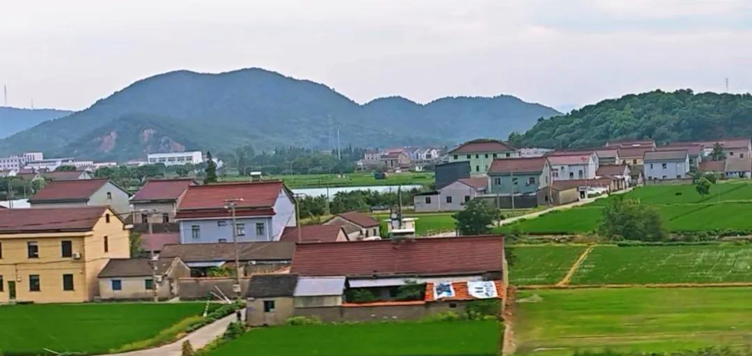 坐上高铁看风景，浙江宁波的田园风光。#旅游#