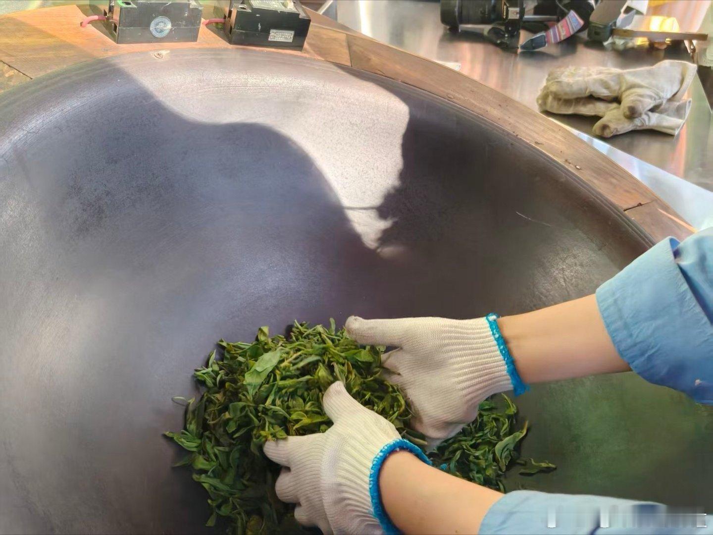 咖位云南点赞云南绿色是云南最动人的底色。咖啡林间的荫栽模式，与茶山上延续千年