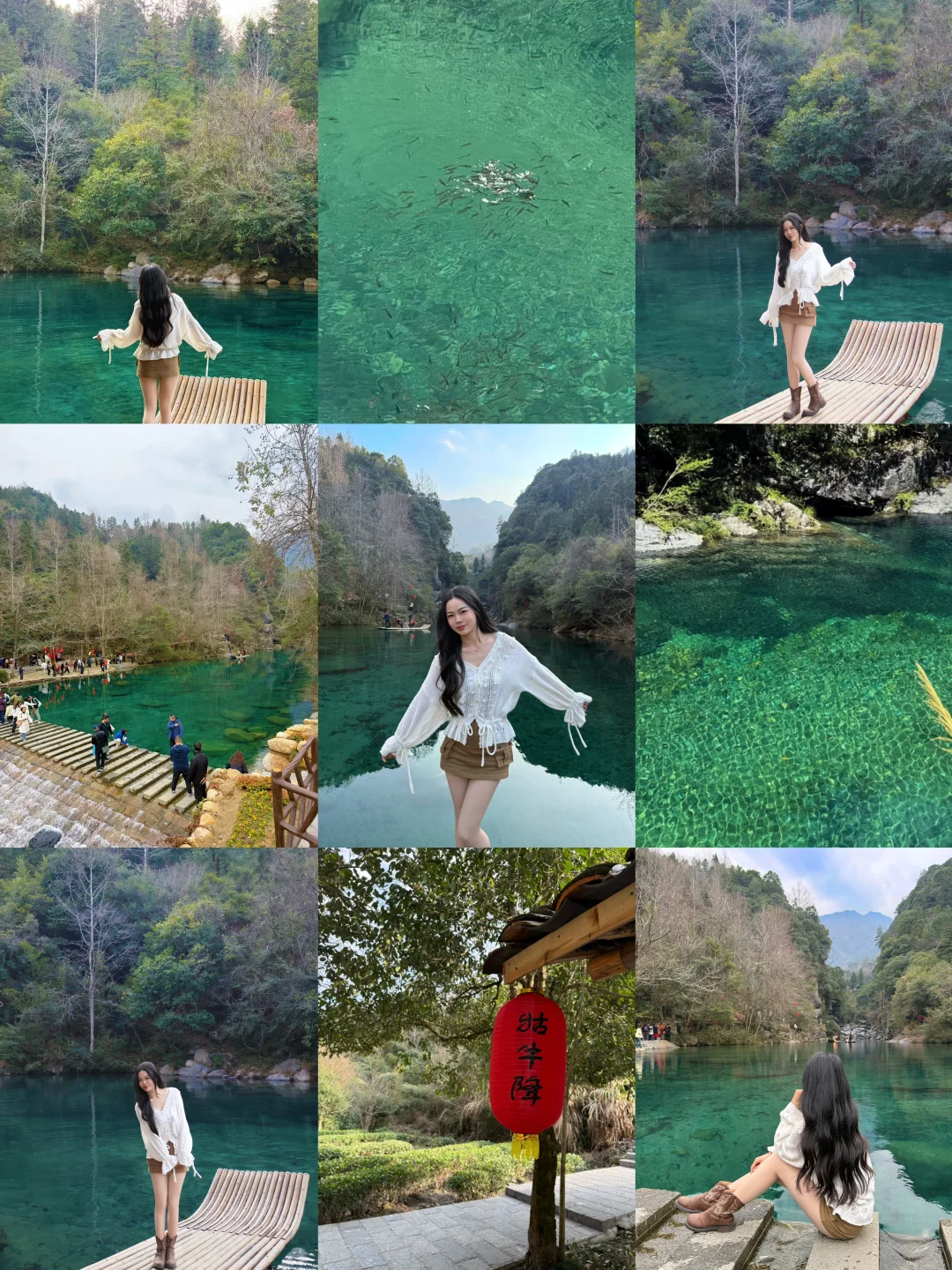 🌳冬日牯牛降/一起森呼吸