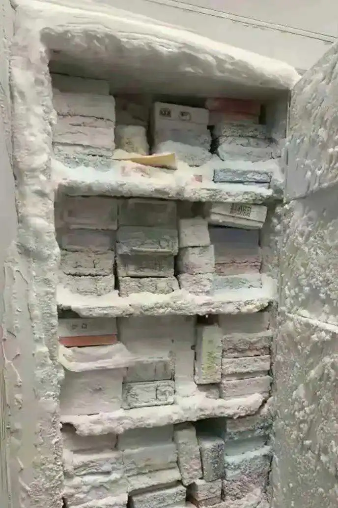 黑龙江的冰箱忘通电了，就变成这样了