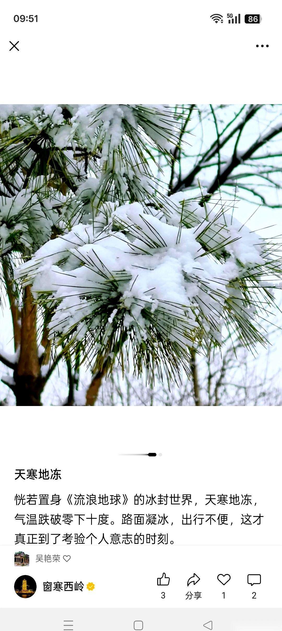 2012年，一个24岁的河南小伙儿，站在了瑞典隆德大学心肺移植中心的门口。你敢