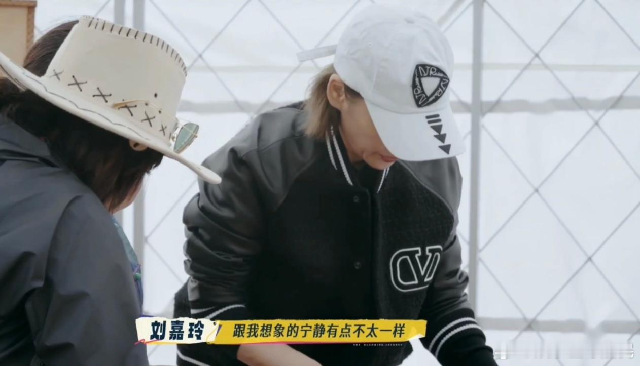 刘嘉玲说宁静很有女人味救命！宁静直接把厨房变成个人秀场，切菜利落颠锅有范儿，荧