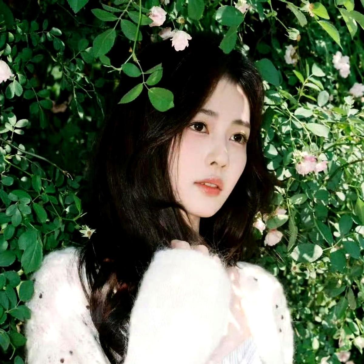白鹿、周翊然同回一个小区，这事儿真没那么简单。一前一后，司机先送女方，男方再