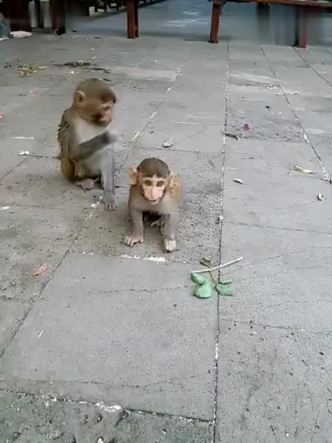 14839120867481552100.jpg?id=0