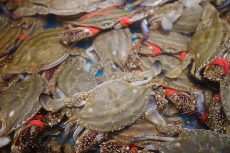 大闸蟹和梭子蟹之争，还真让人纠结。大闸蟹是淡水贵族，阳澄湖的正宗货那膏黄，金黄硬