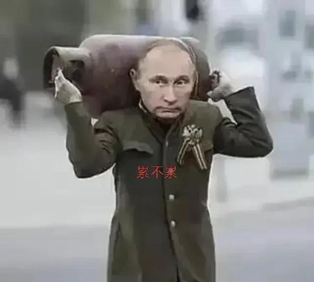 想停战给点实惠！估计大帝也不是一定不撤军，非要占乌克兰的那一点已经破烂不堪的土