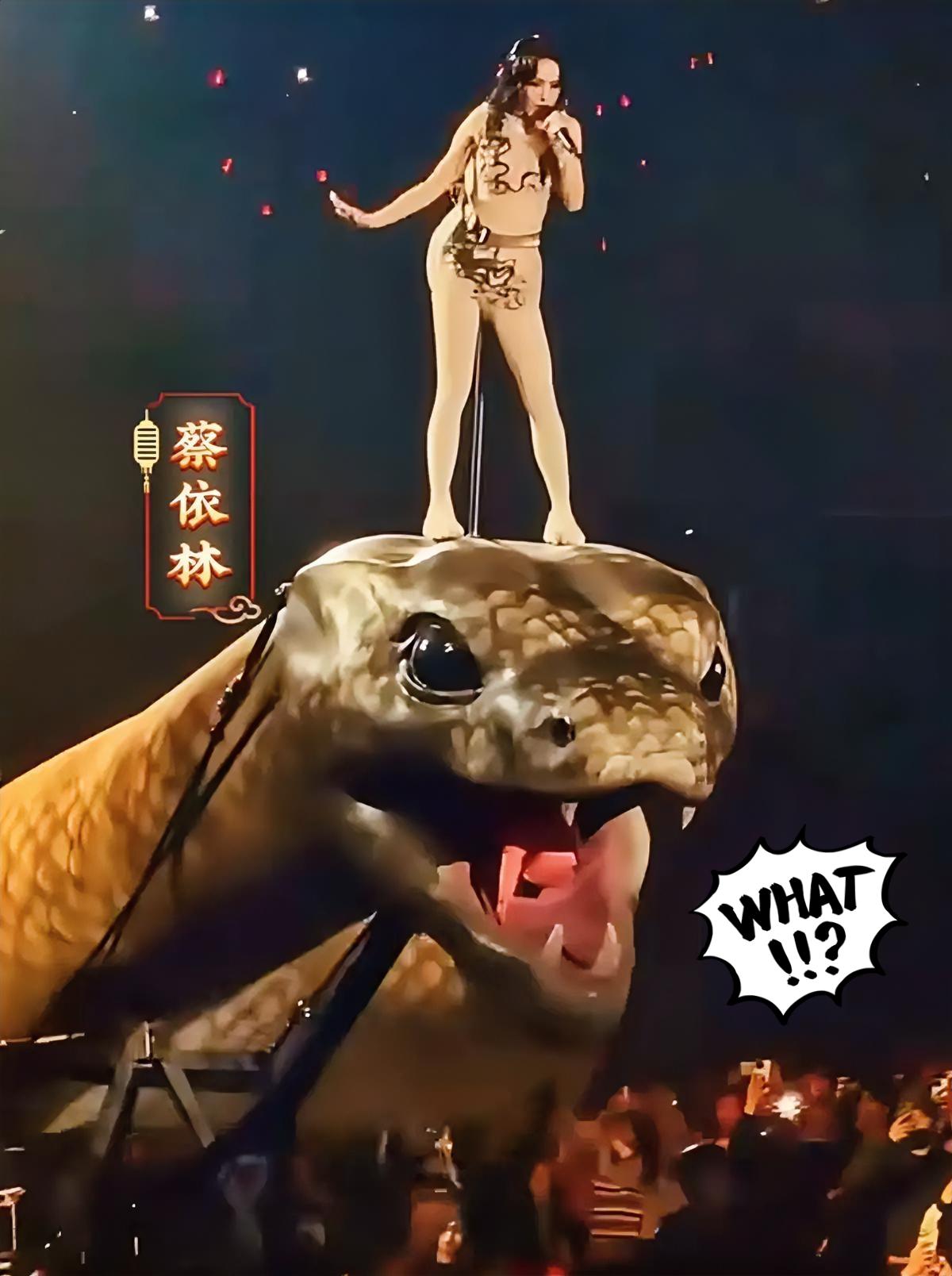 闺蜜去趟演唱会，居然还能看出“工伤”来了？就是蔡依林那个巡演，她回来后整