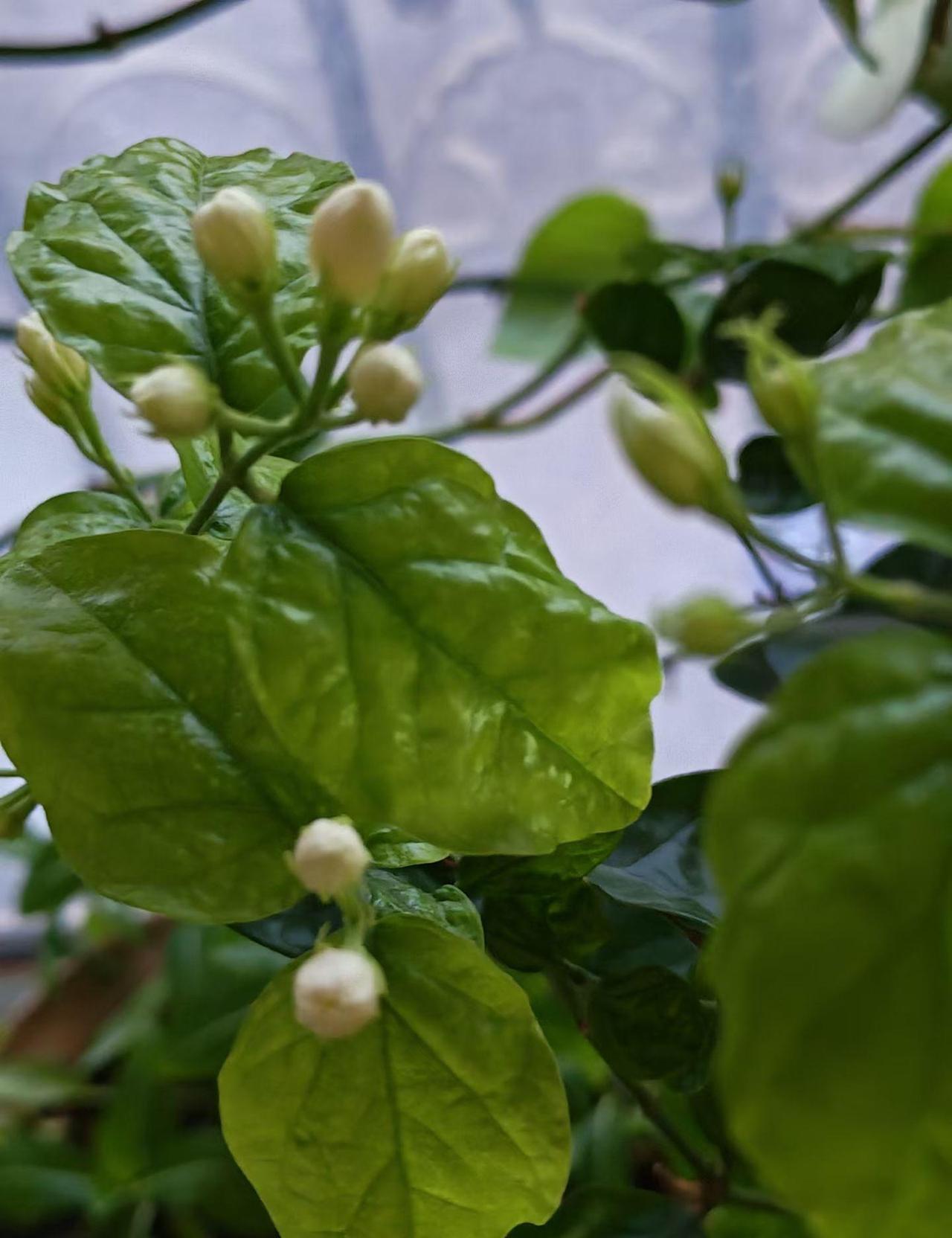 又发现了一位资深股民的炒股秘诀。突然挖出资深股民炒股秘诀，分底仓留存、逢低加仓