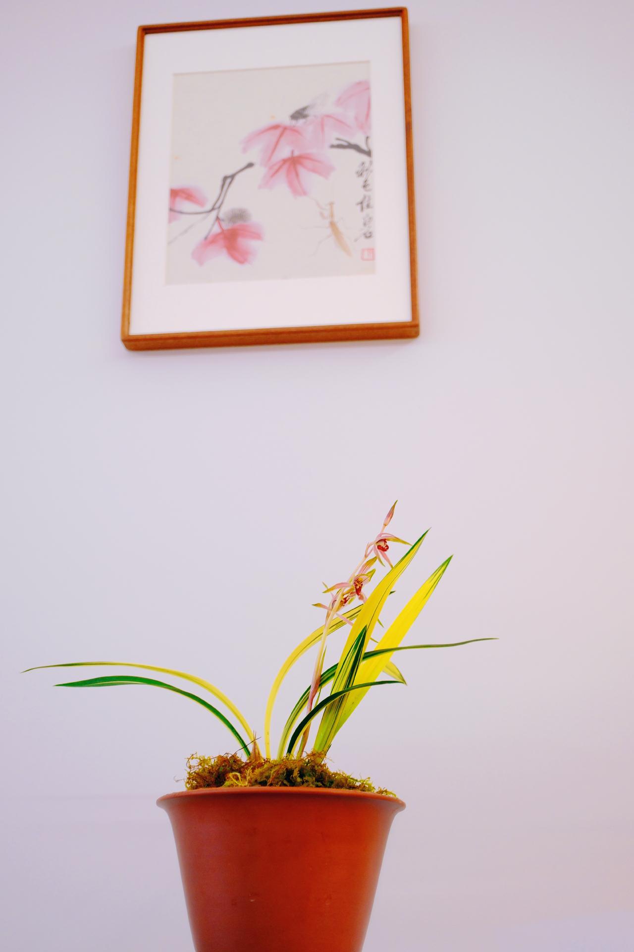 十二花神男版兰花神，你以为是屈原吗[大笑]路漫漫其修远兮，共祝愿，祖国好[烟花]