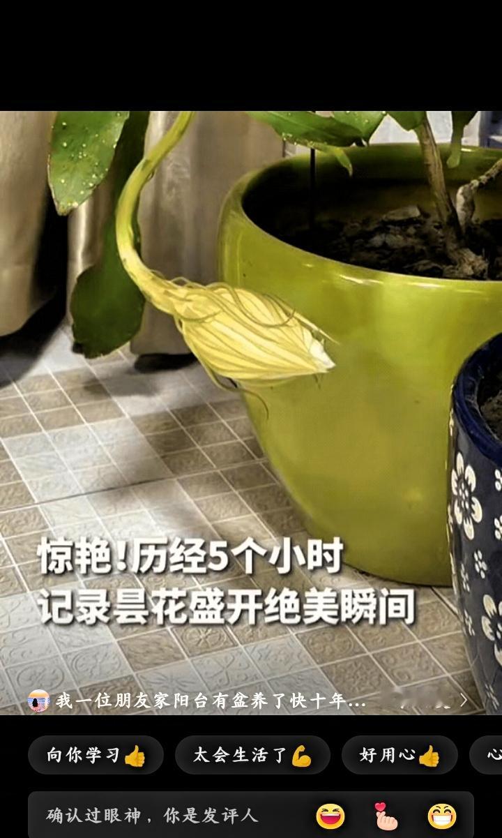 太惊喜了！江苏南京，李女士半夜洗漱完准备关灯，眼角余光突然瞥见阳台有动静——家
