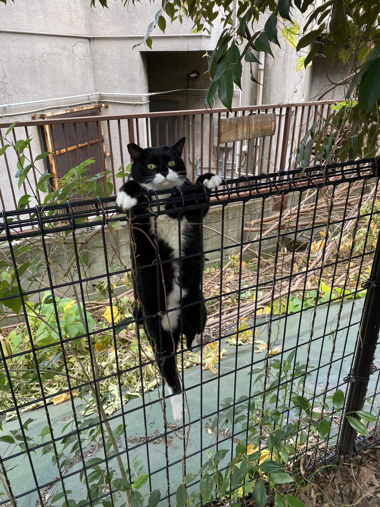 人，快拉我一把