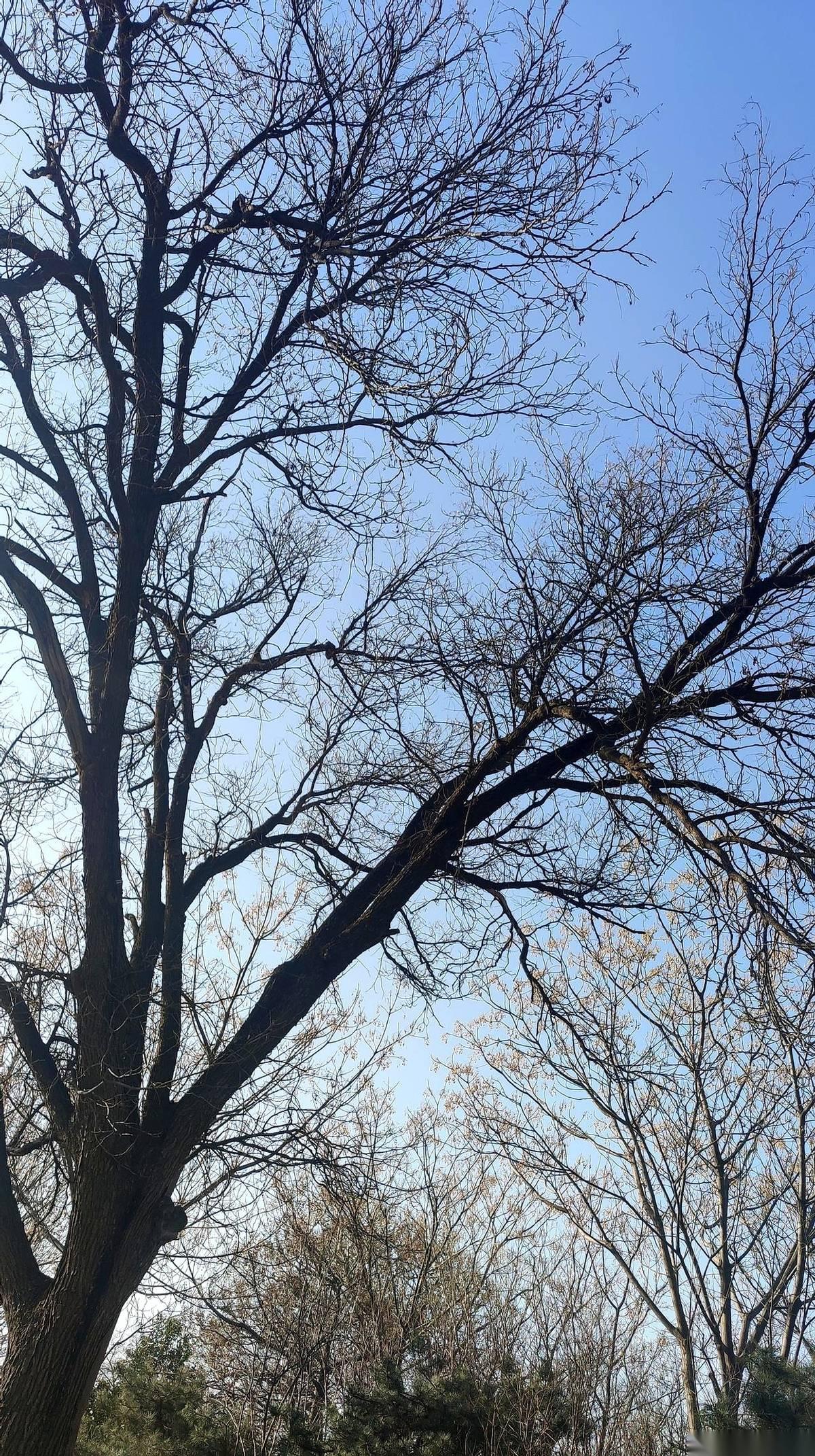 儿子张口要五万，说是生意周转。我二话没说，第二天顶着太阳去银行排队，把那笔养老